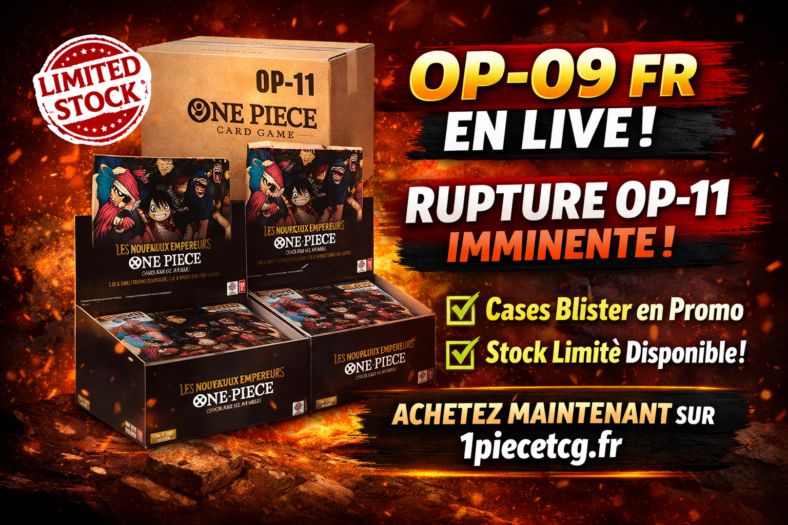 case blister op09 case blister op11